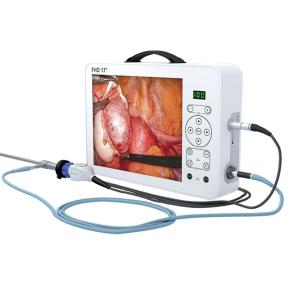 Medical 17 Inch Portable 1080P HD Endoscope camera system AC-GW617
