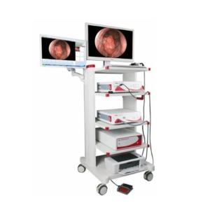 Anorectal Endoscopy System Complete Set