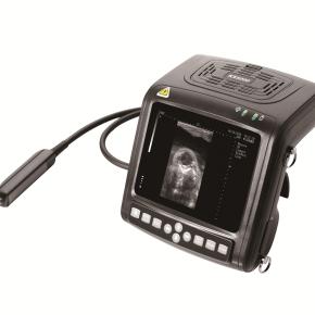 Full Digital Wrist Design Veterinary Ultrasound Scanner KX5200