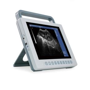 Small animal and big Animal Veterinary Full Digital B Mode ultrasound Scanner K10