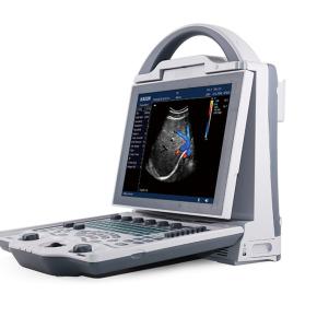Full Digital Portable Color doppler Veterinary Ultrasound Scanner DCU12