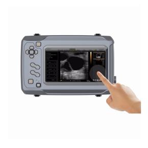 Bestscan B Mode Veterinary Ultrasound Scanner S6 for big animals